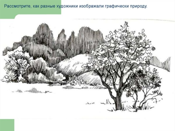 Природный пейзаж в графике