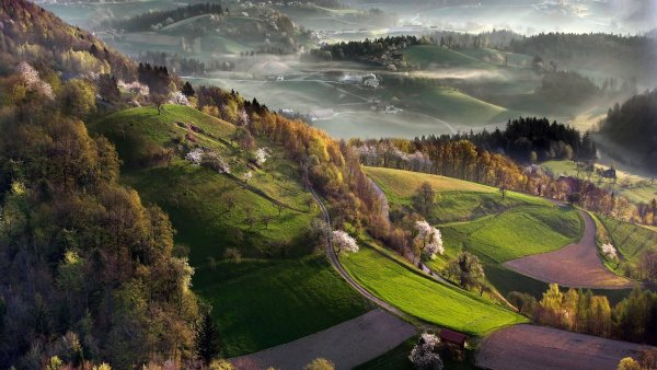 Словения холмы