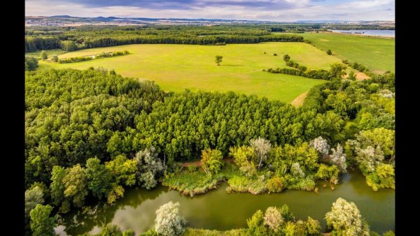 Природа с птичьего полета