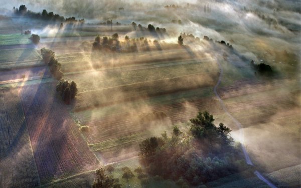 Туман с высоты птичьего полета
