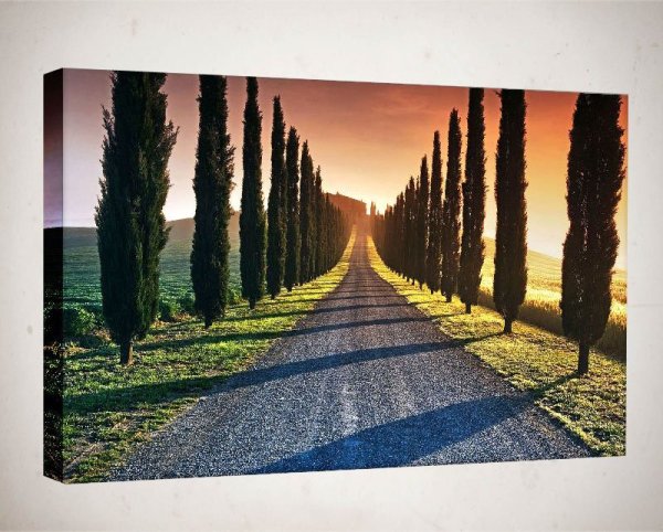 Линейная перспектива с 1 точкой схода