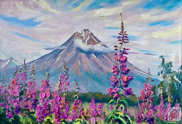 Камчатка вулкан Иван чай