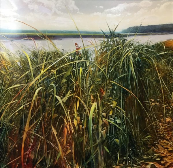 Дэвид Данлоп