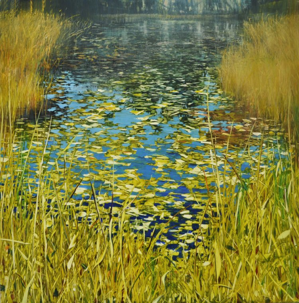 Дэвид Данлоп