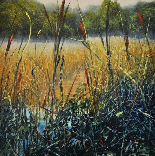 Дэвид Данлоп