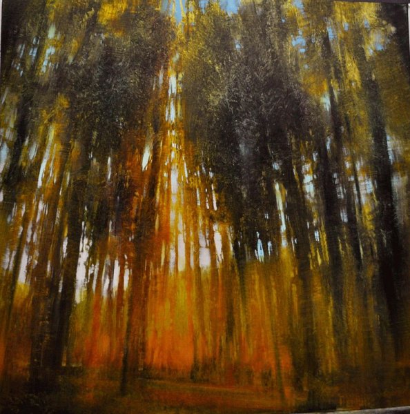 Дэвид Данлоп пейзажи сквозь время