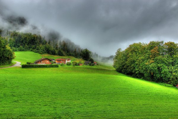 Природа лужайка