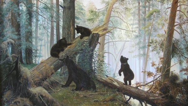 Утро в Сосновом Бору Шишкин