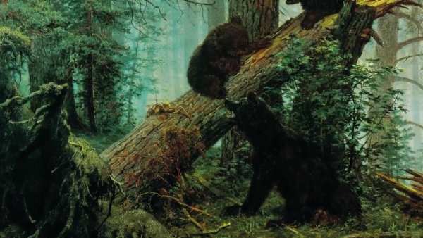 Шишкин мишки в Сосновом Бору вышивка