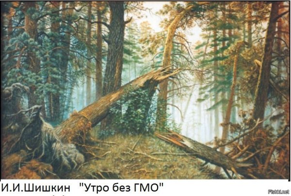 Иван Шишкин. «Утро в Сосновом лесу», 1889 г.