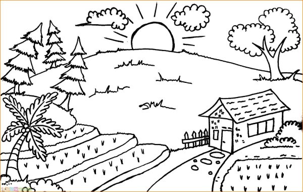 На ферме. Раскраска