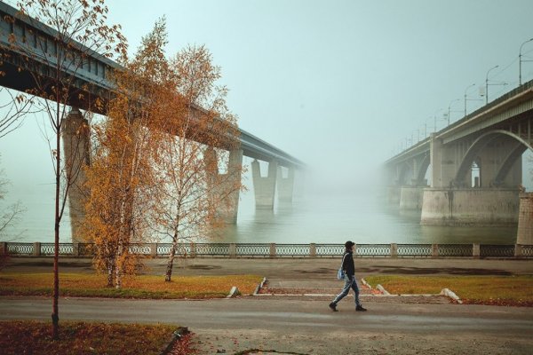 Бугринский мост Новосибирск лето