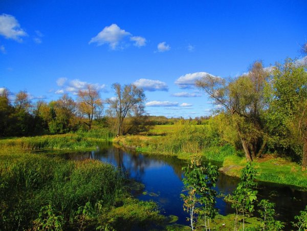 Воронеж города Воронежской области