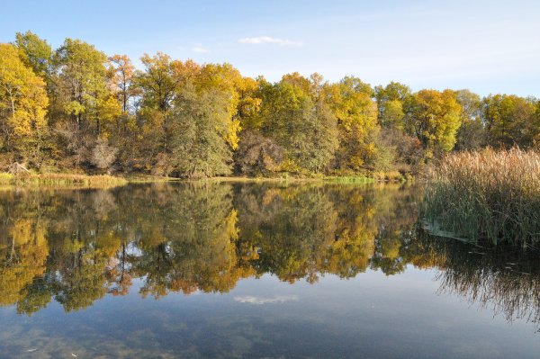 Река Дон Воронеж