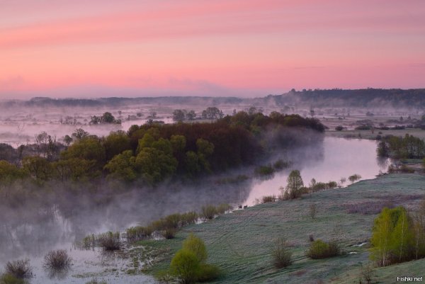 Лысая гора Кривоборье