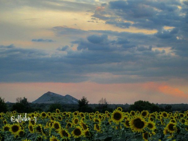 Пейзажи с терриконами Донбасса