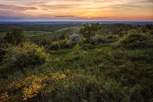 Белокузьминовка меловые горы