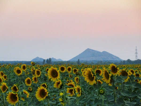 Луганская область Украина природа