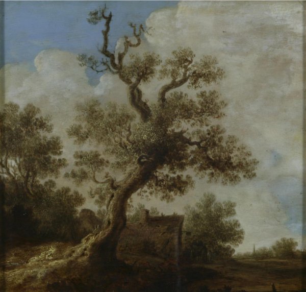 Ян Ван Гойен Landscape with Figures