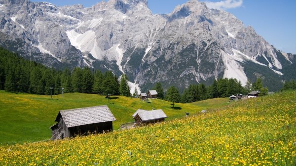 Альпийские Луга Швейцария