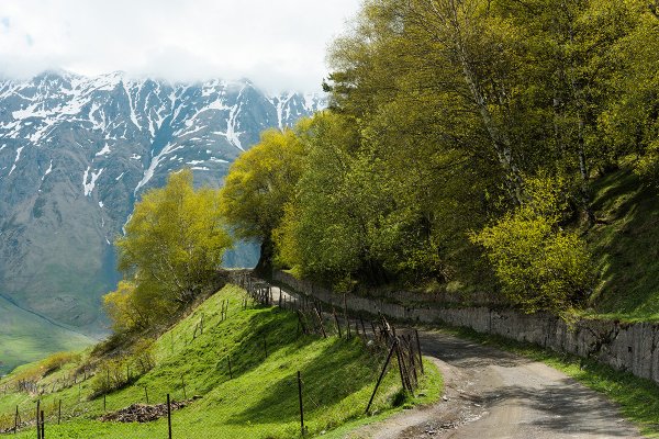 Казбеги Грузия дорога