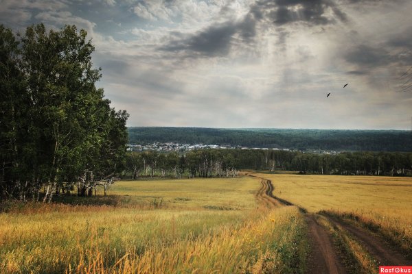 Пейзаж с открытым пространством