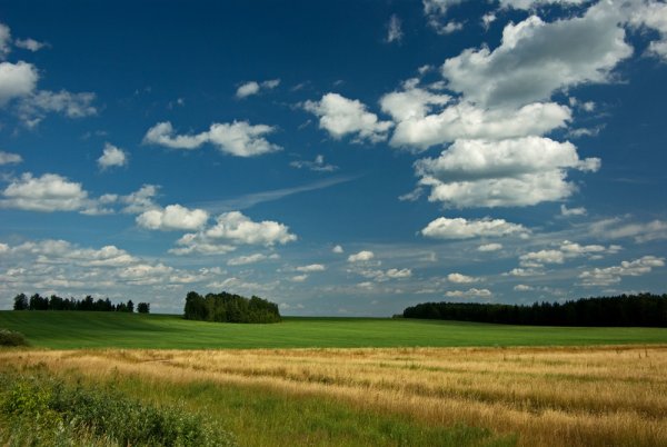 Облака над полем