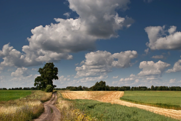 Пейзажи России лето