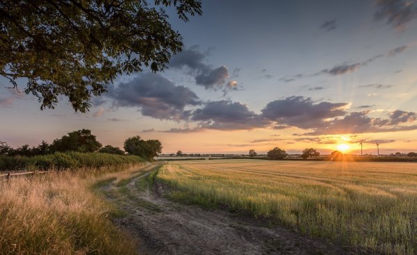 Проселочная дорога закат