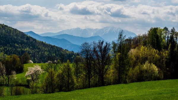 Алтайский край предгорье
