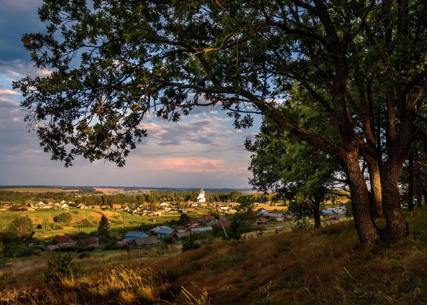 Природа Пензенской области