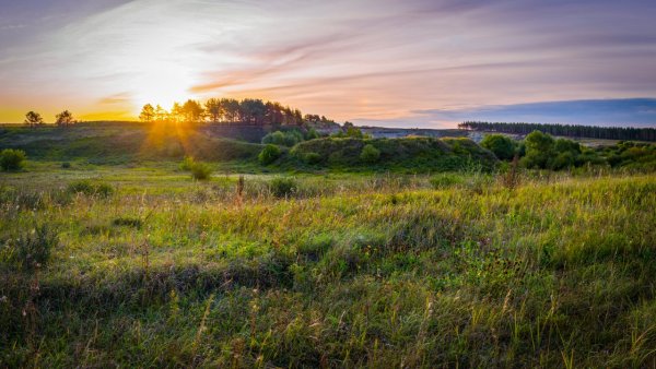 Просторы Пензенской области