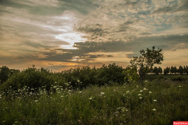 Река Елюзань Пензенская область
