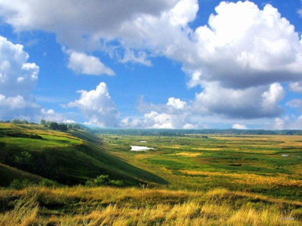 Пензенская область