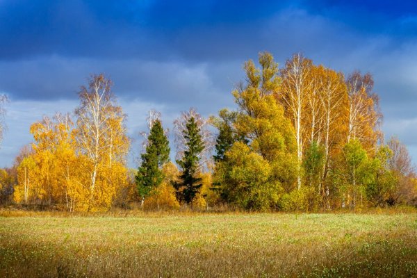 Деревня панорамная съёмка