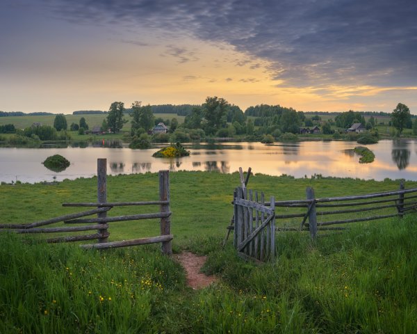 Живопись художников Пензы