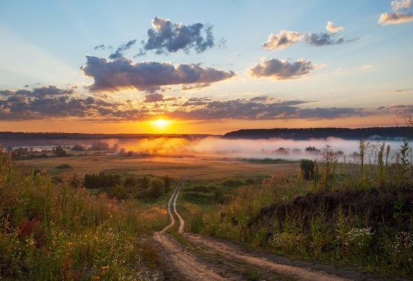Поля Пензенской области
