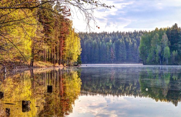 Николина гора река осень