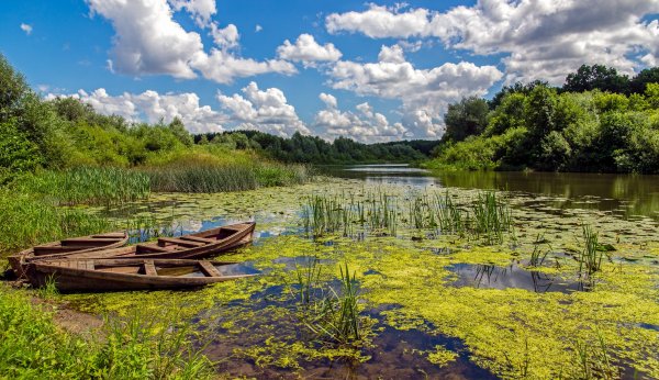 Хопёр река Пензенская область