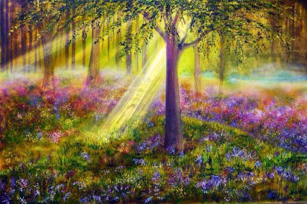 Сказочные пейзажи леса