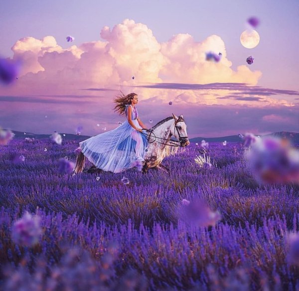 Девушка в лавандовом поле