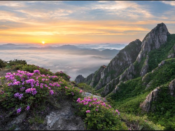 Говард Беренс (Howard Behrens)