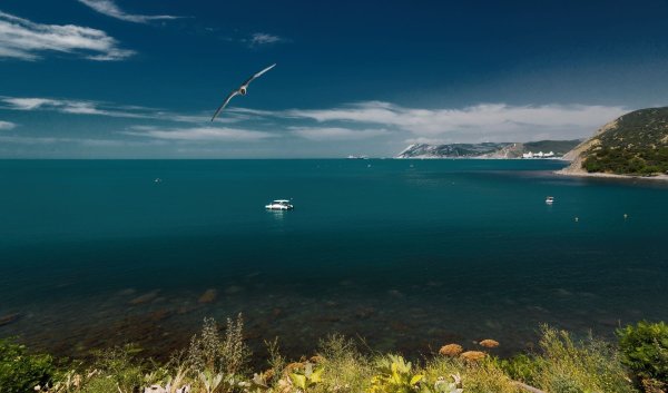 Анапа набережная летом