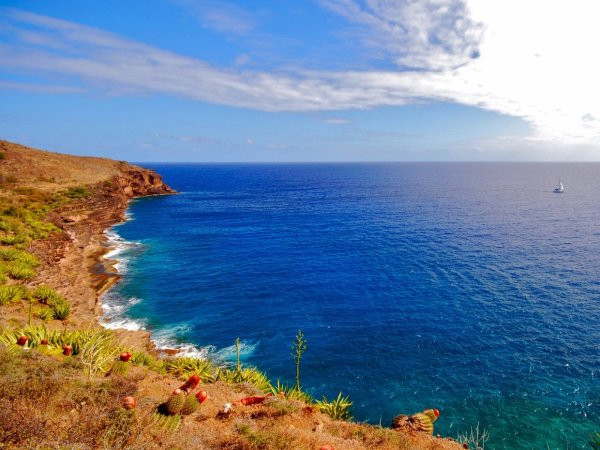 Сукко море горы