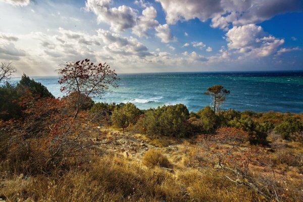 Анапа Сукко