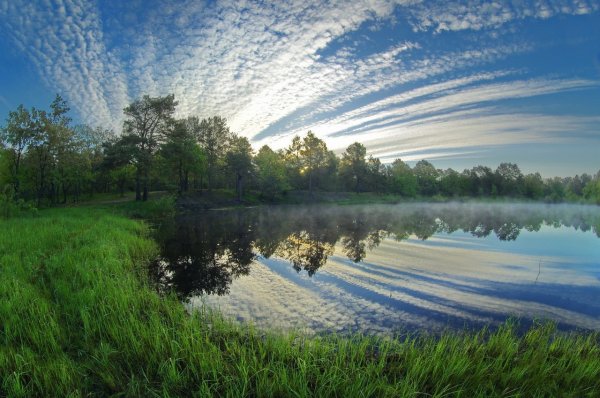 Полесье Белоруссия