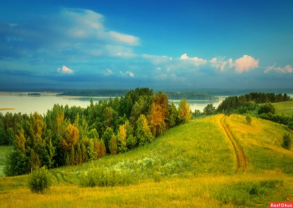 Белорусские просторы природа