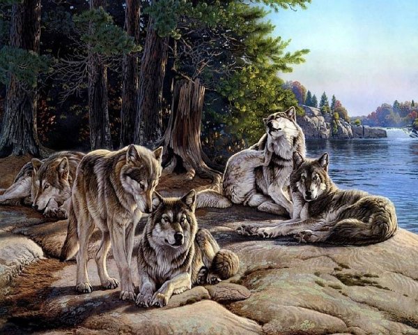 Картины художника Волкова Ефима Ефимовича