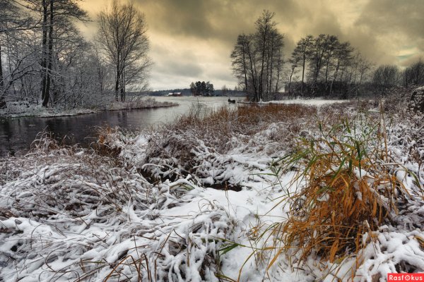 Поздняя осень, предзимье