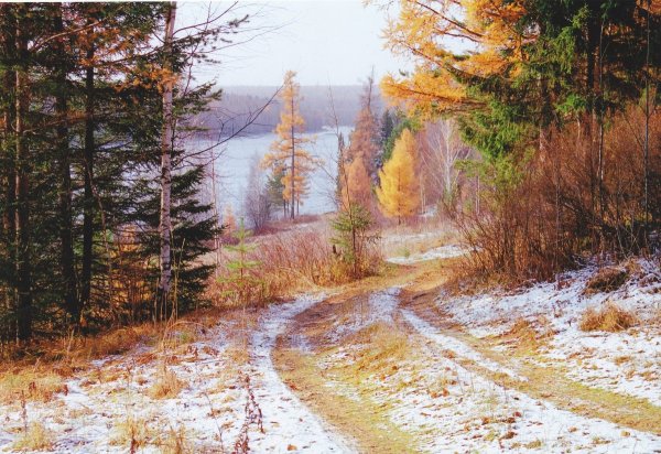 Поздняя осень пейзаж